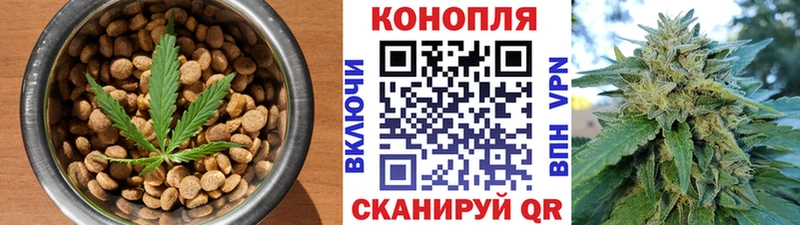Canna-Cookies марихуана  mega онион  Кизел 