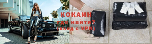 хмурый Алексин
