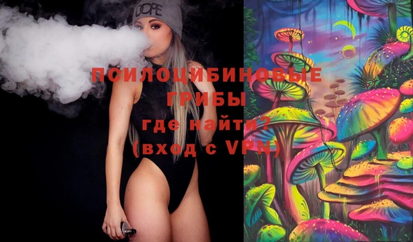 хмурый Алексин