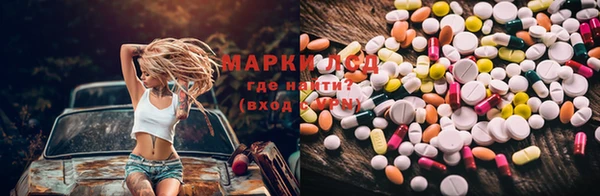 хмурый Алексин