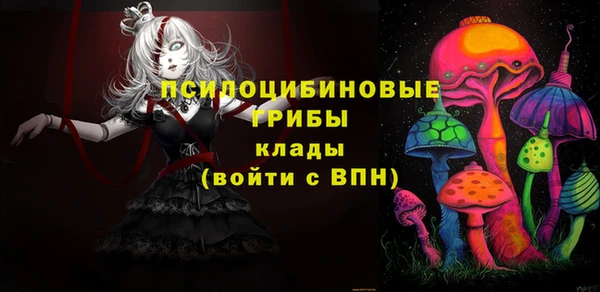 2c-b Алзамай