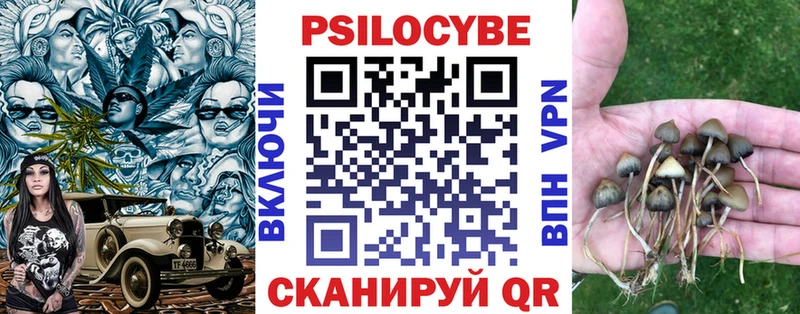 MEGA   купить  цена  Кизел  Псилоцибиновые грибы MAGIC MUSHROOMS 
